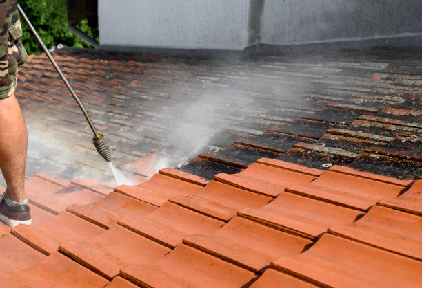 Best Pressure Washing Near Me  in Watergate, FL